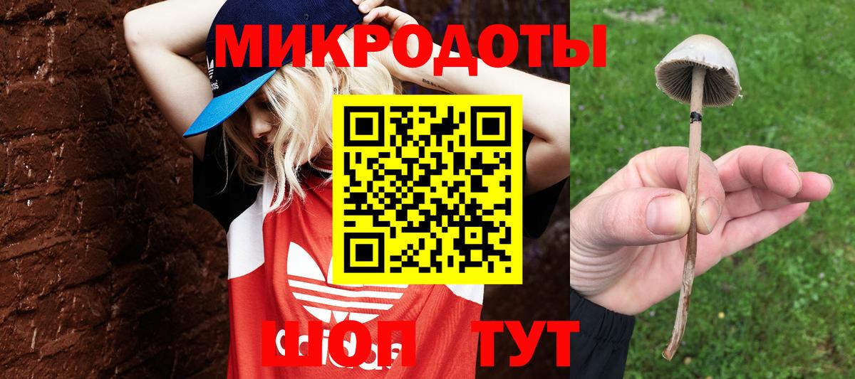 дарнет шоп  Вход с VPN  Дзержинский  Галлюциногенные грибы мухоморы 