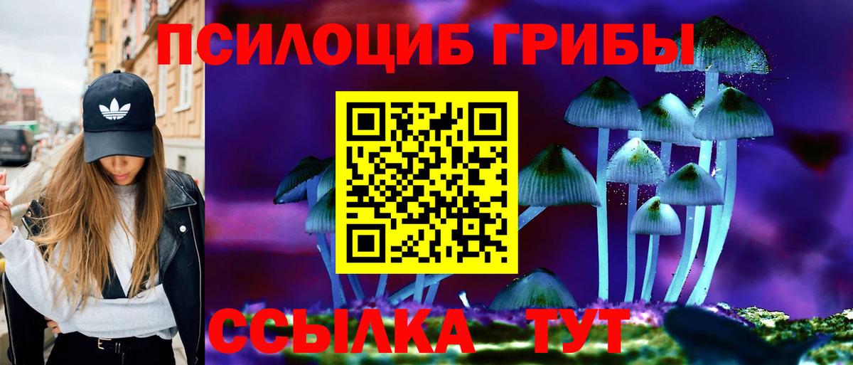 Галлюциногенные грибы мухоморы Дзержинский